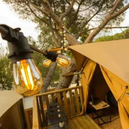 Campsite 3 Etoiles - Piscine - Cca0gcg Frejus